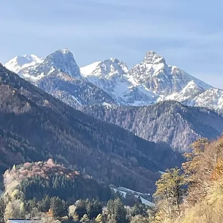 Nyaraló Shaeuserl *