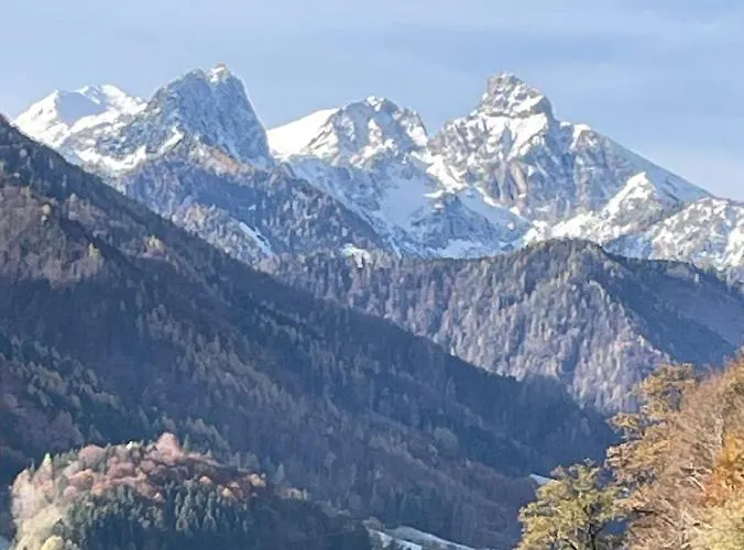 Dom wakacyjny Shaeuserl *